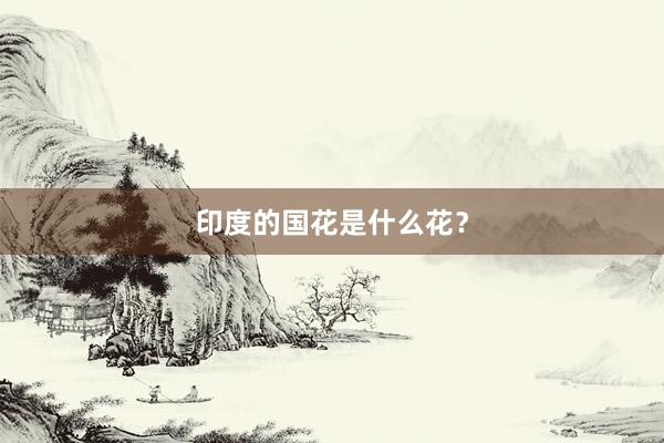 印度的国花是什么花？