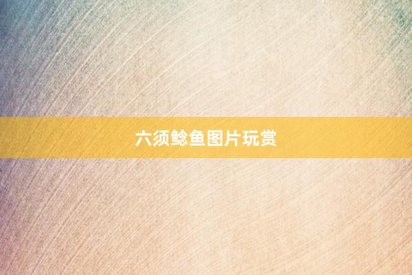 六须鲶鱼图片玩赏