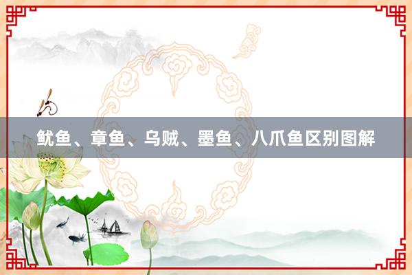 鱿鱼、章鱼、乌贼、墨鱼、八爪鱼区别图解