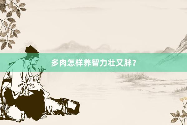 多肉怎样养智力壮又胖？